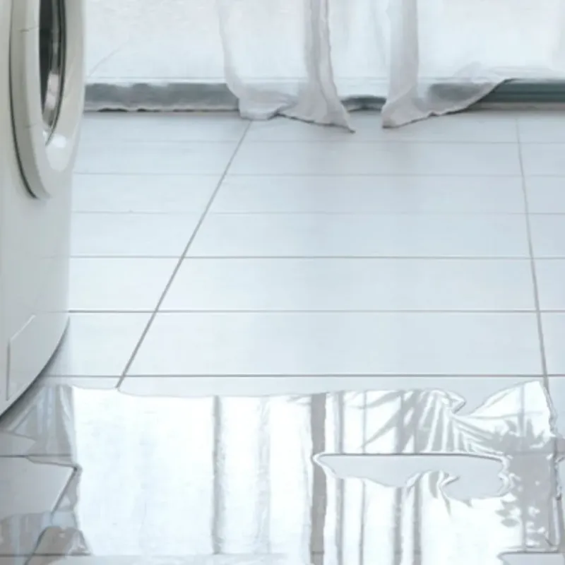 Appliance Leak Cleanup in Edmore, MI