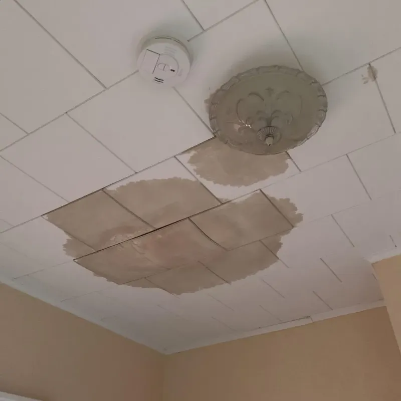 Ceiling Water Damage Repair in Edmore, MI