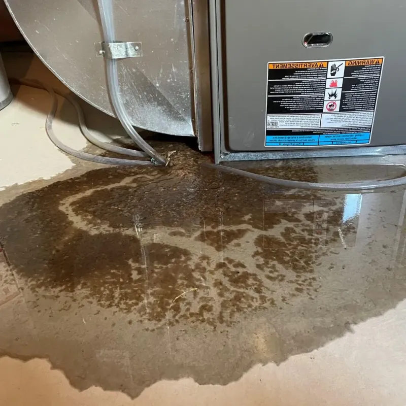 Pipe Burst and Leak Restoration in Edmore, MI