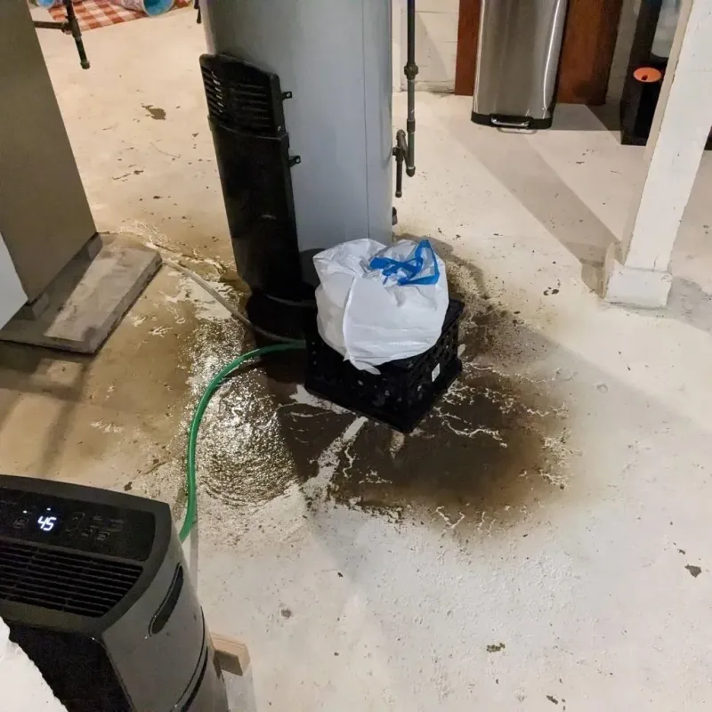 Sewage Backup Cleanup Service in Edmore, MI